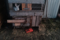 Klatka dla królików