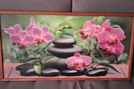 Obraz 103,5 cm x 53cm