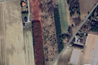 Działka rolna z lasem