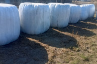 Sianokiszonka w balotach