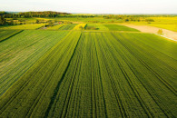 0,93ha w Rembieszowie