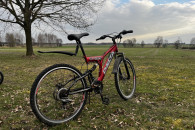 Rower górski Delta Junior