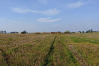 Sprzedam Gospodarstwo rolne dom 7,65ha