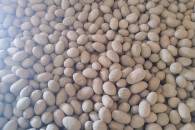 Sadzeniaki kaliber 3-4