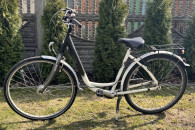 Rower miejski Pegasus