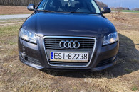 Audi A3 8p fl