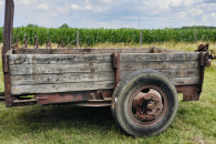 Przyczepa jednoosiowa