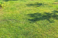 DZIAŁKA REKREACYJNA ROD Drogowiec Dzierlin.