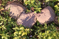 Kamienie ogrodowe polne na skalniaki aranżacje