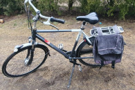 Rower męski gazelle