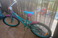 Rower Indiana opona 20"