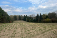 Działka rekreacyjna ziemia Majaczewice 38ar