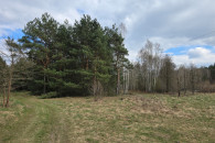 Działka budowlana 1821 m² przy lesie – Sieradz