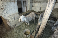 Kozy mmmmmmmmmmmmmmmmmmmmmmm