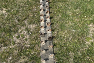 Sprzedam pas do hasi