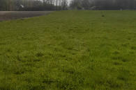 Działka inwestycyjna 1h14