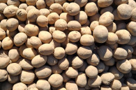 Ziemniaki Twister 35-55 swieze