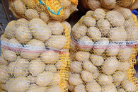 Ziemniaki jadalne Ignacy. Worek 15kg 4zł