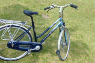 Rower Trek L600 Navigator 28 cali