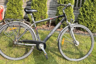 Rower miejski Pegasus