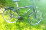 Rower bergamont alu 28"