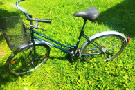 Rower Maxim 26"