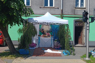 Lokal do wynajęcia