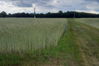 Działka budowlana