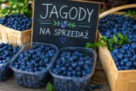 Jagody