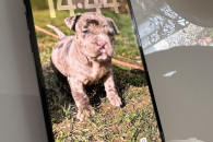 iPhone 15 128gb