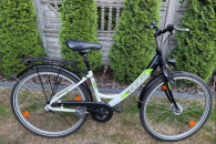 BBF City Bike (biało-zielony)