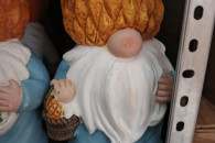 Skrzat ogrodowy