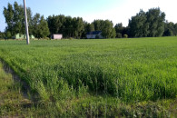 2 działki budowlane - Bogumiłów Kolonia