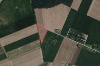 Działka rolka Cielce 1ha