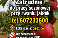 Praca sezonowa