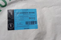 Żyto ozime dańkowskie Skand