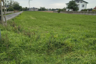 Działka budowlana 5000 m2