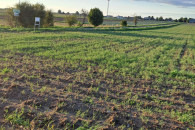 Działka budowlana 1700 m2