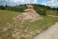 Ziemia Chojne