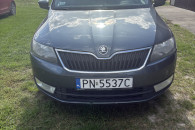 Skoda Rapod