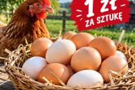 Swieże Wiejskie Jajka