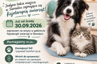 Fizjoterapia zwierząt