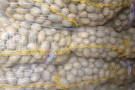 Ziemniaki Piwonia 35-50
