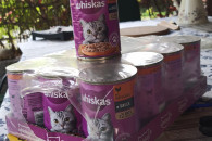 Mokra karma dla kota Whiskas