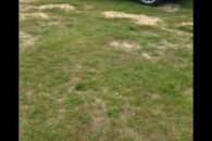Honda Civic 1.4 benzyna
