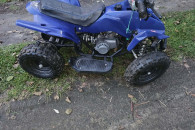 Quad 50 ccm 2t