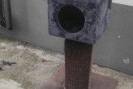 DRAPAK DLA KOTA