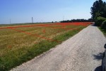 BUDOWLANE objęte MPZP= niższa taksa notarialna!