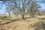 działka o pow. 3606 mkw., położona w Kłocku