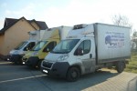 TRANSPORT CHŁODNICZY, LAWETĄ,ZWIERZĄT I INNY!!!